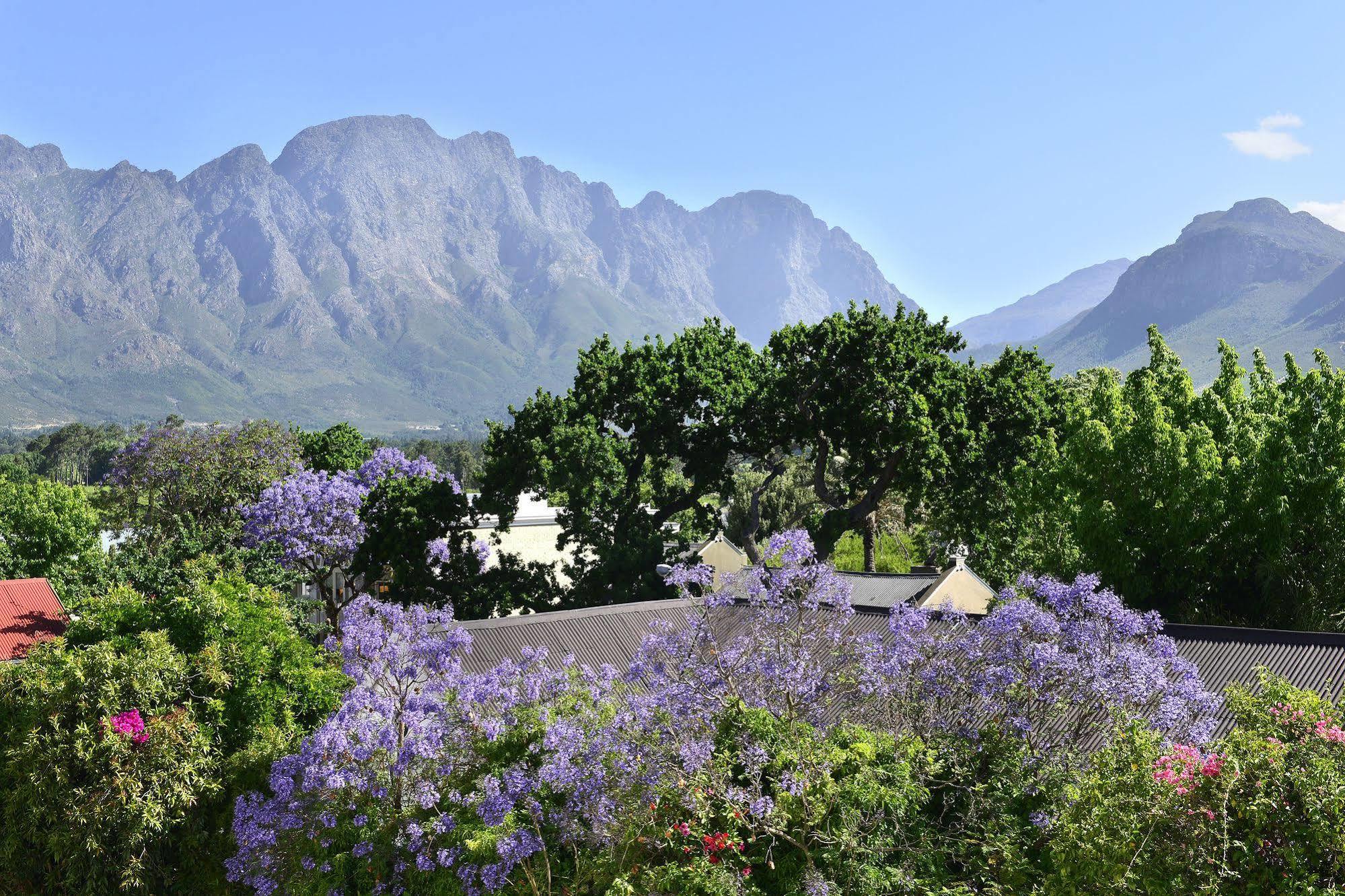 Boutique - Lion Roars & Franschhoek