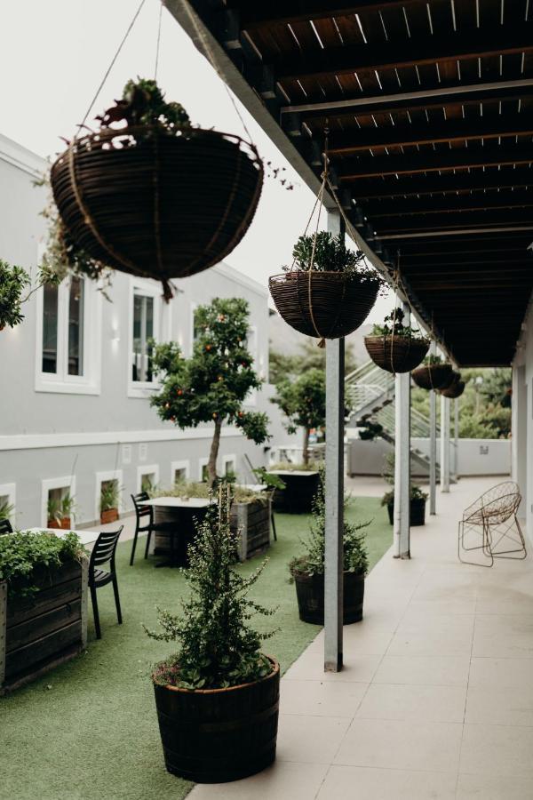 Hotel Boutique - Lion Roars &